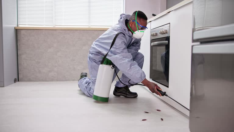 Best Pest Control for Multi-Family Homes  in Yaeyville, NC